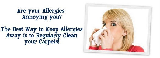 Carpet Cleaning Union, NJ
