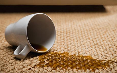 Carpet Cleaning Union, NJ