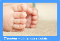 Union, NJ Carpet Cleaning