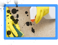 Carpet Cleaning Union, NJ