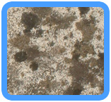 Union, NJ Water Damage Restoration